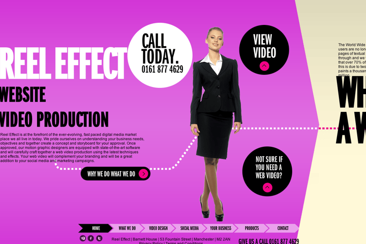 Reel Effect website preview